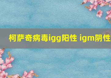 柯萨奇病毒igg阳性 igm阴性